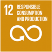 SDG 12 - Responsible consumption and production